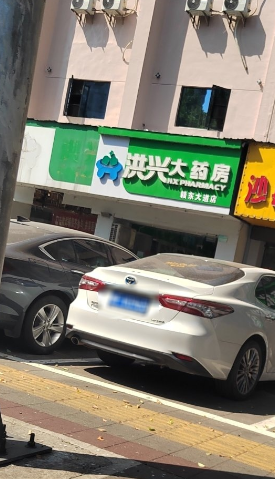 洪兴大药房(中央花园店)的图标