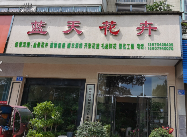 蓝天花卉(冠锦园店) 的图标